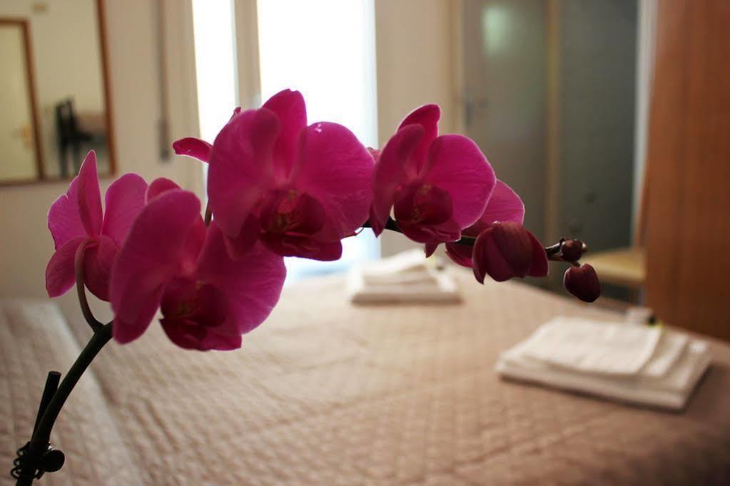 Hotel Leda Rimini Dış mekan fotoğraf